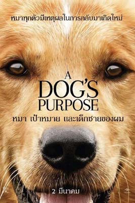 A Dog’s Purpose (2017) หมา เป้าหมาย และเด็กชายของผม